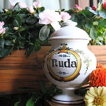 Val De Ruda 酒店